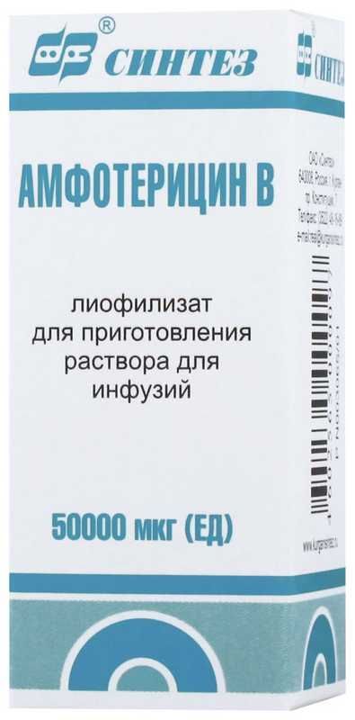 Амфотерицин b 50000мкг 1 шт лиофилизат для приготовления раствора для инфузий