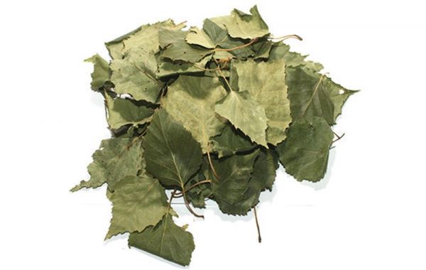 Береза листья 1,5г 20 шт фильтр-пакет