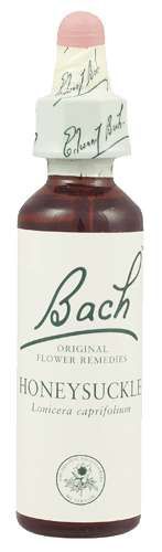 Цветы баха n16 ханнисакл капли гомеопатические 10мл