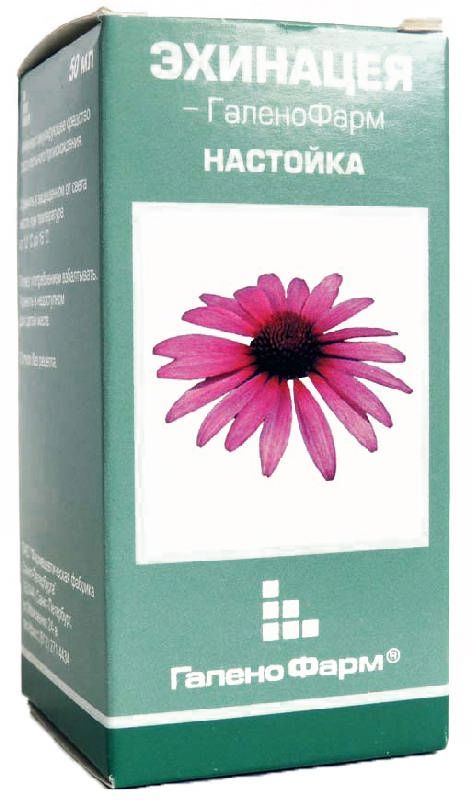 Эхинацея галенофарм 50мл настойка