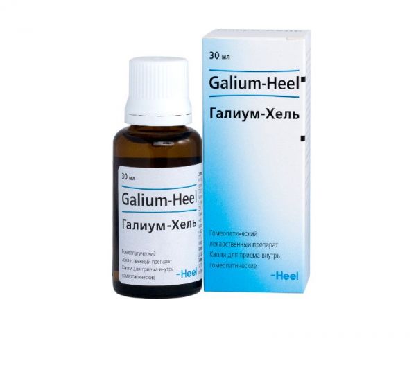 Галиум-хель 30мл капли для приема внутрь biologische heilmittel heel gmbh