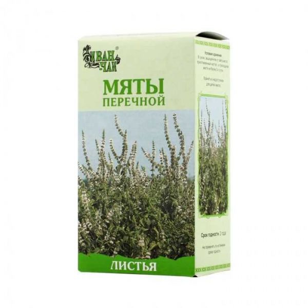 Мята перечная 50г листья