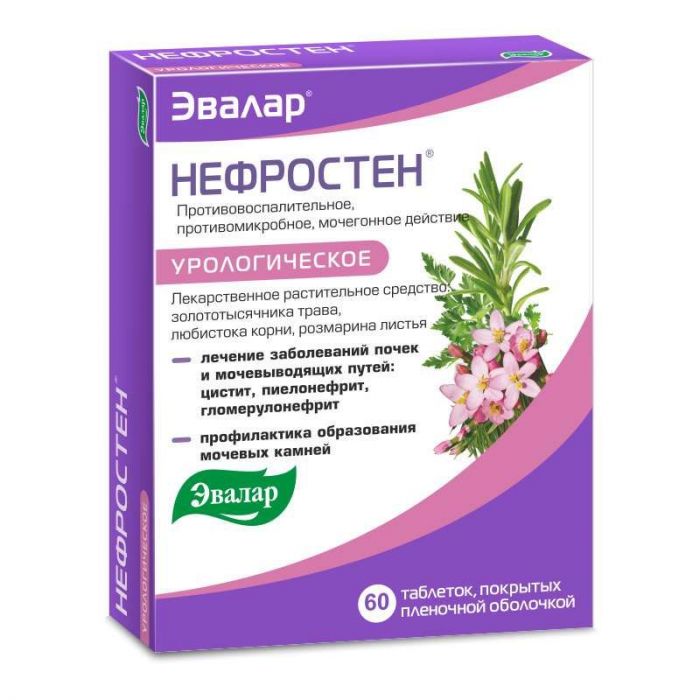 Нефростен 60 шт таблетки покрытые пленочной оболочкой эвалар