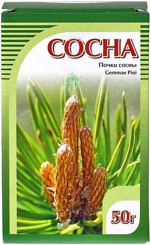 Сосна почки 50г
